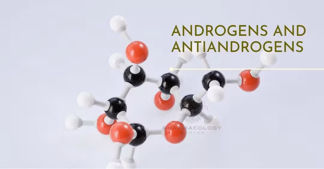 androgens and antiandrogens