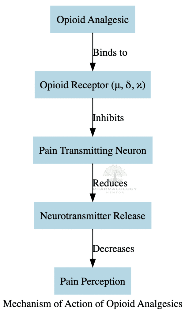 Mechanism of action of Opioid Analgesics