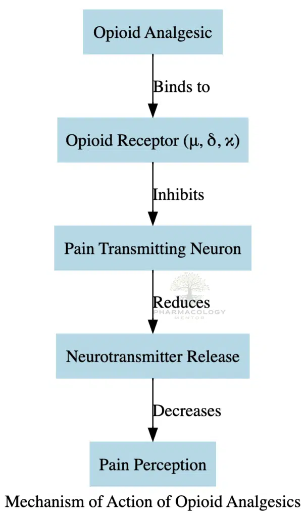 is neurontin an opioid