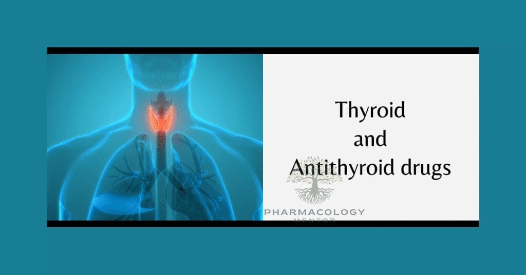 thyroid and antithyroid drugs