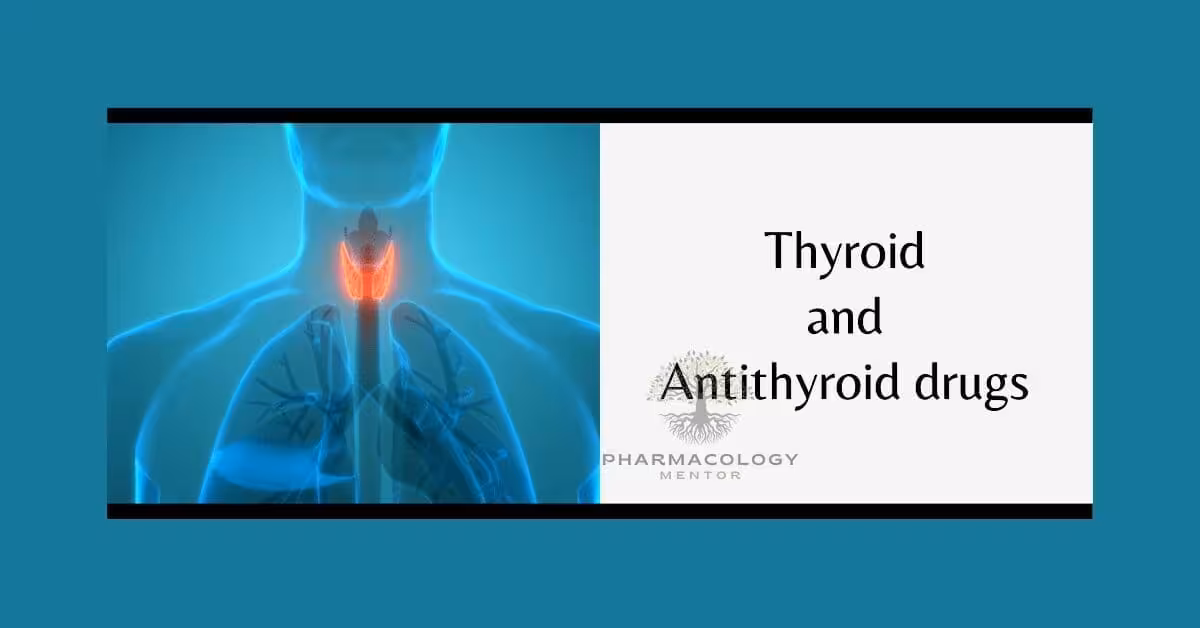 thyroid and antithyroid drugs