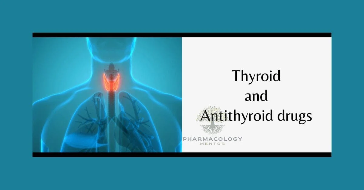thyroid and antithyroid drugs