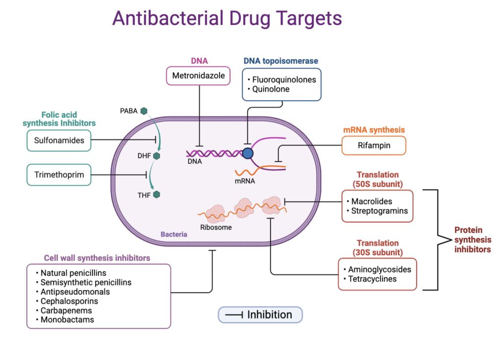 antimicrobial