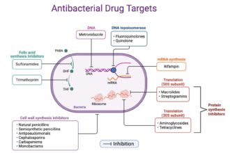 antimicrobial