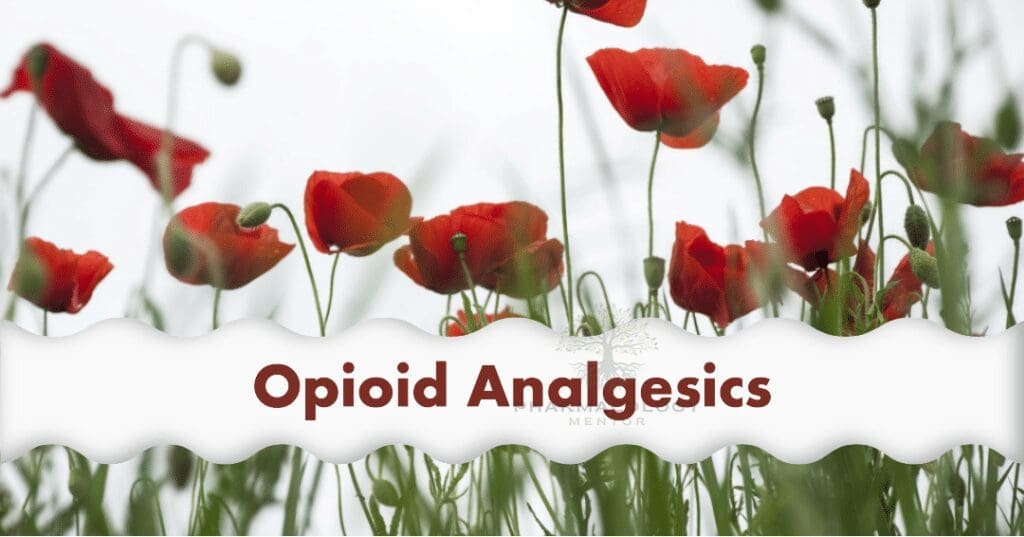 Opioid analgesics