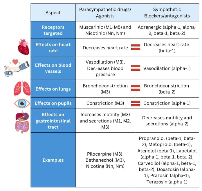 cholinergic vs adrenergic blockers