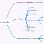 routes of drug administration