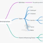 routes of drug administration