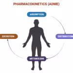 pharmacokinetics
