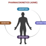 pharmacokinetics