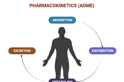pharmacokinetics