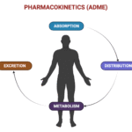 Pharmacokinetics