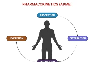 Pharmacokinetics