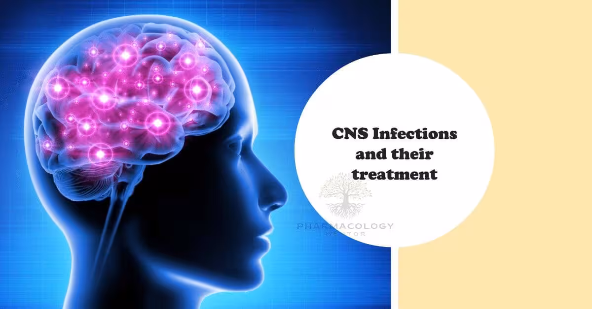 CNS infections and their treatment