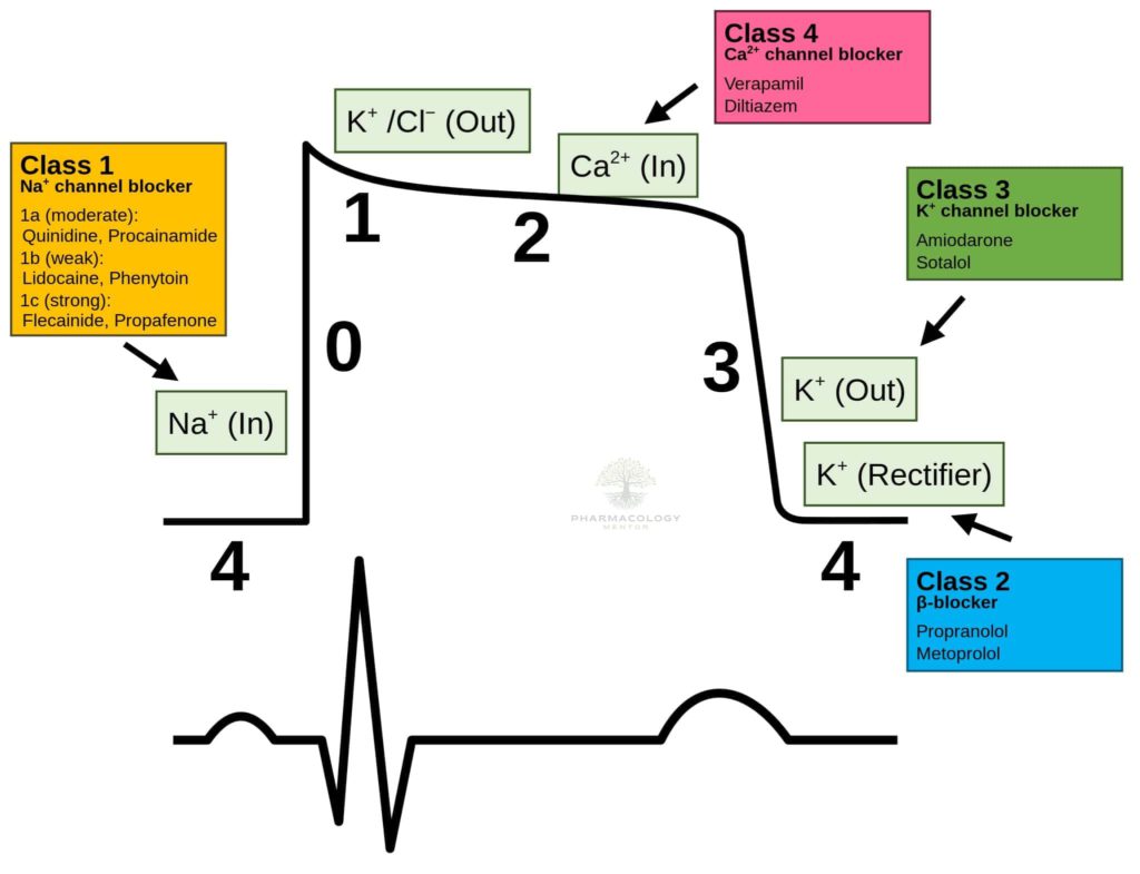 Antiarrhythmic drugs