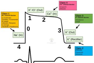Antiarrhythmic drugs