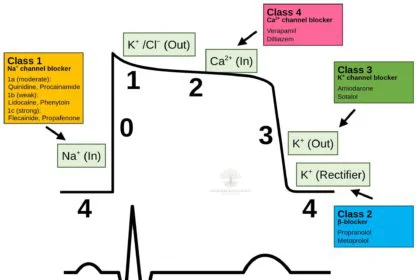 Antiarrhythmic drugs