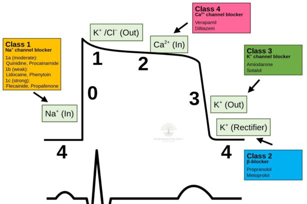 Antiarrhythmic drugs