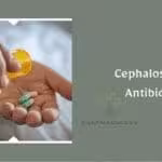 cephalosporins antibiotics
