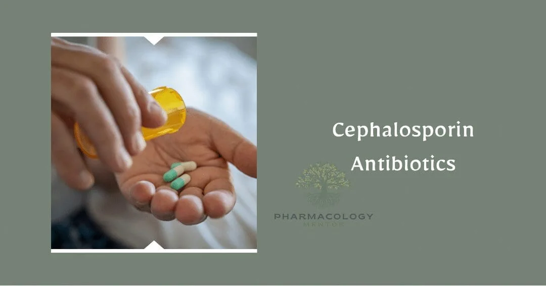 cephalosporins antibiotics