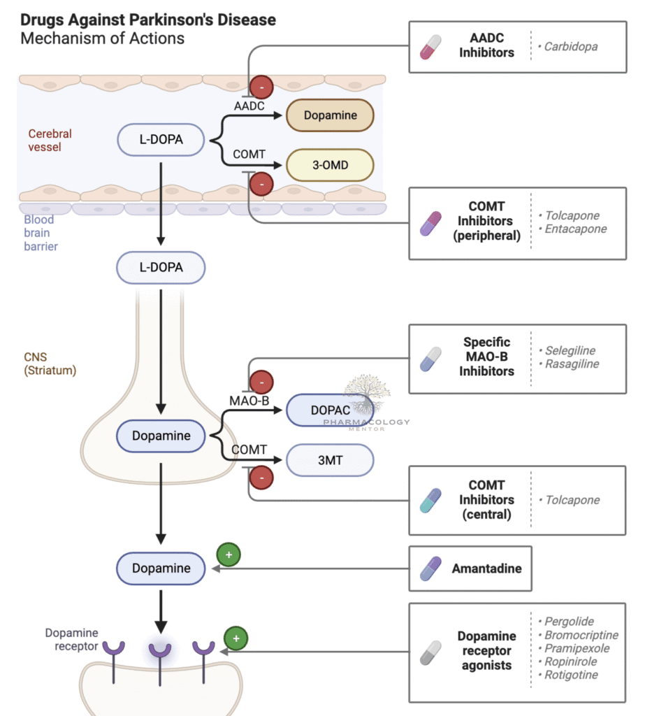 Parkinson's Disease