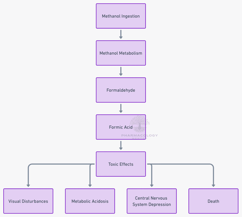 Methanol Metabolism and toxicity