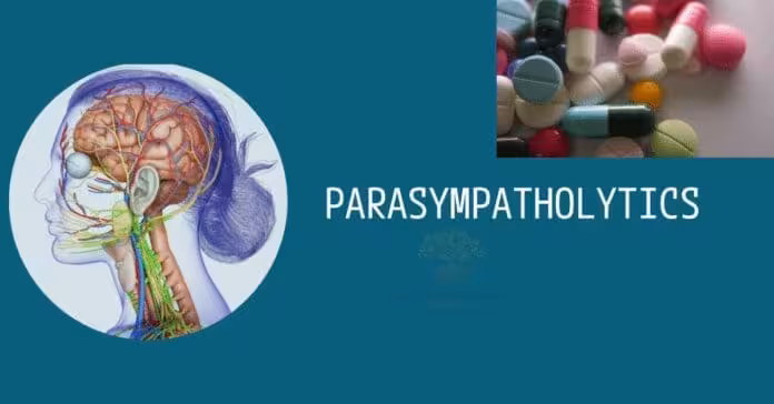 Cholinergic antagonists - Parasympatholytics