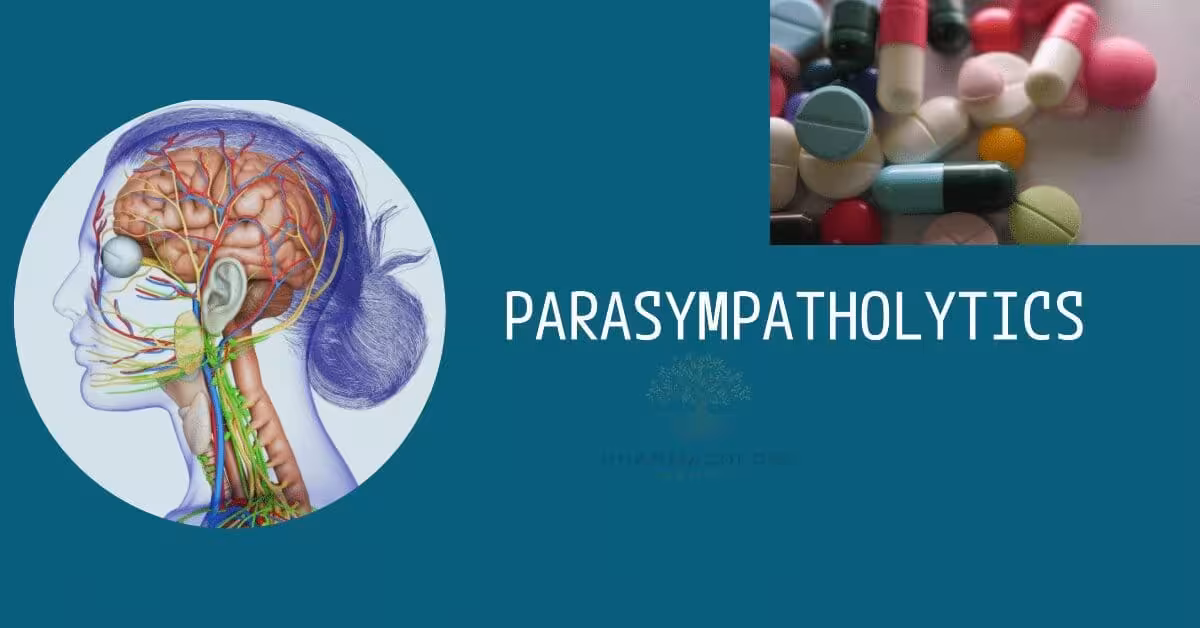 Cholinergic antagonists - Parasympatholytics