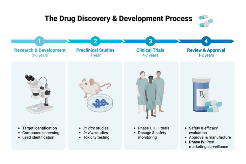 drug discovery and development