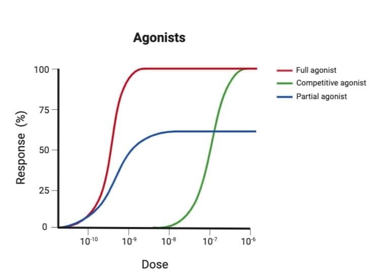 pharmacodynamics