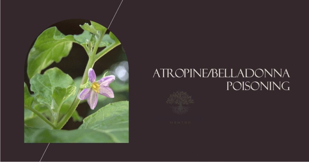 atropine - belladonna poisoning