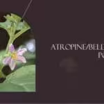 atropine - belladonna poisoning