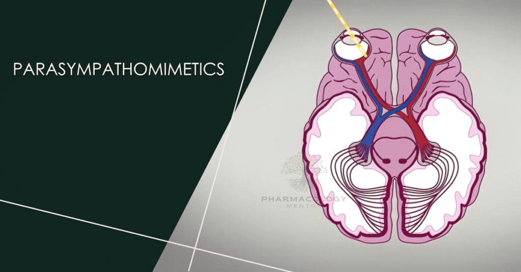 parasympathomimetics