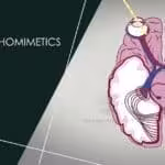 parasympathomimetics