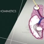 parasympathomimetics