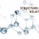 structure activity relationships - SAR