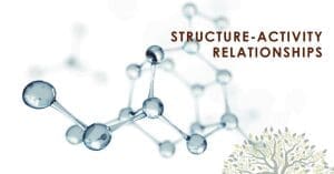 structure activity relationships - SAR