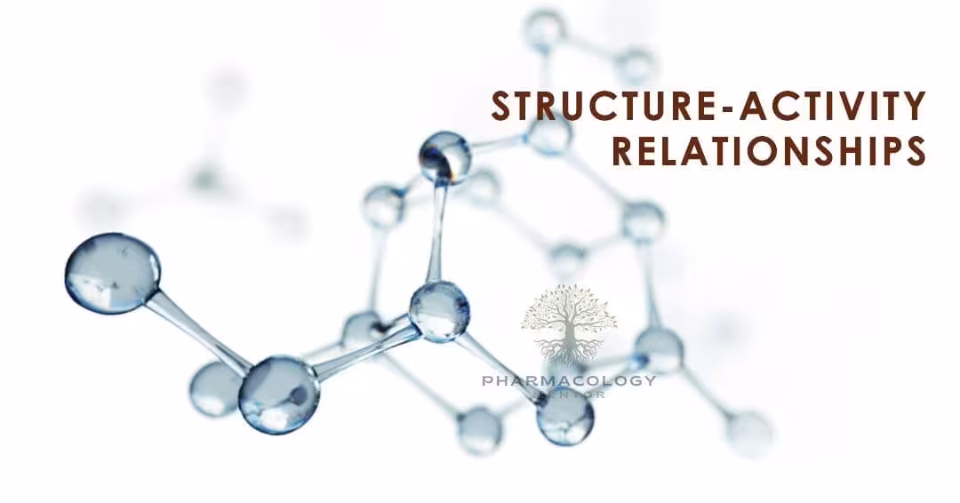 structure activity relationships - SAR