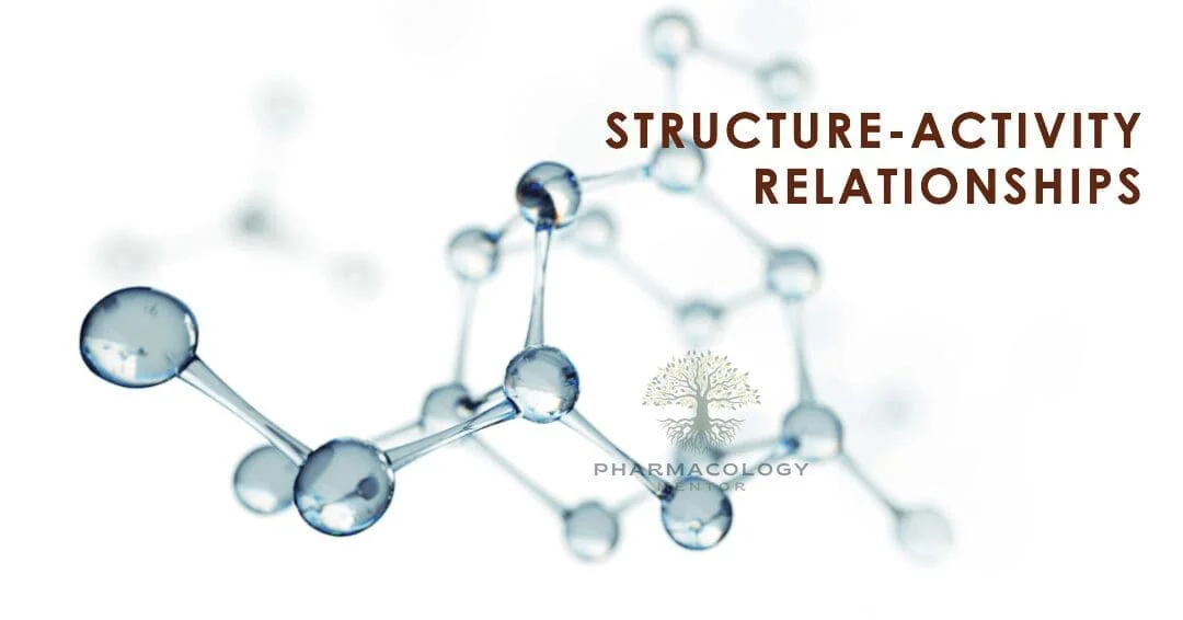 structure activity relationships - SAR