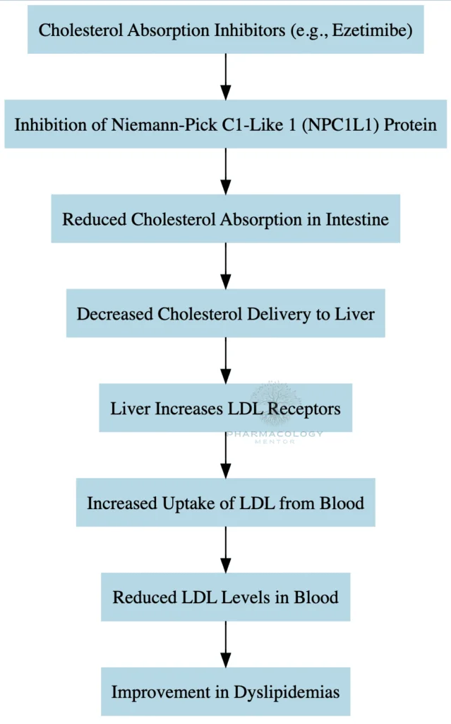 Cholesterol Absorption Inhibitors