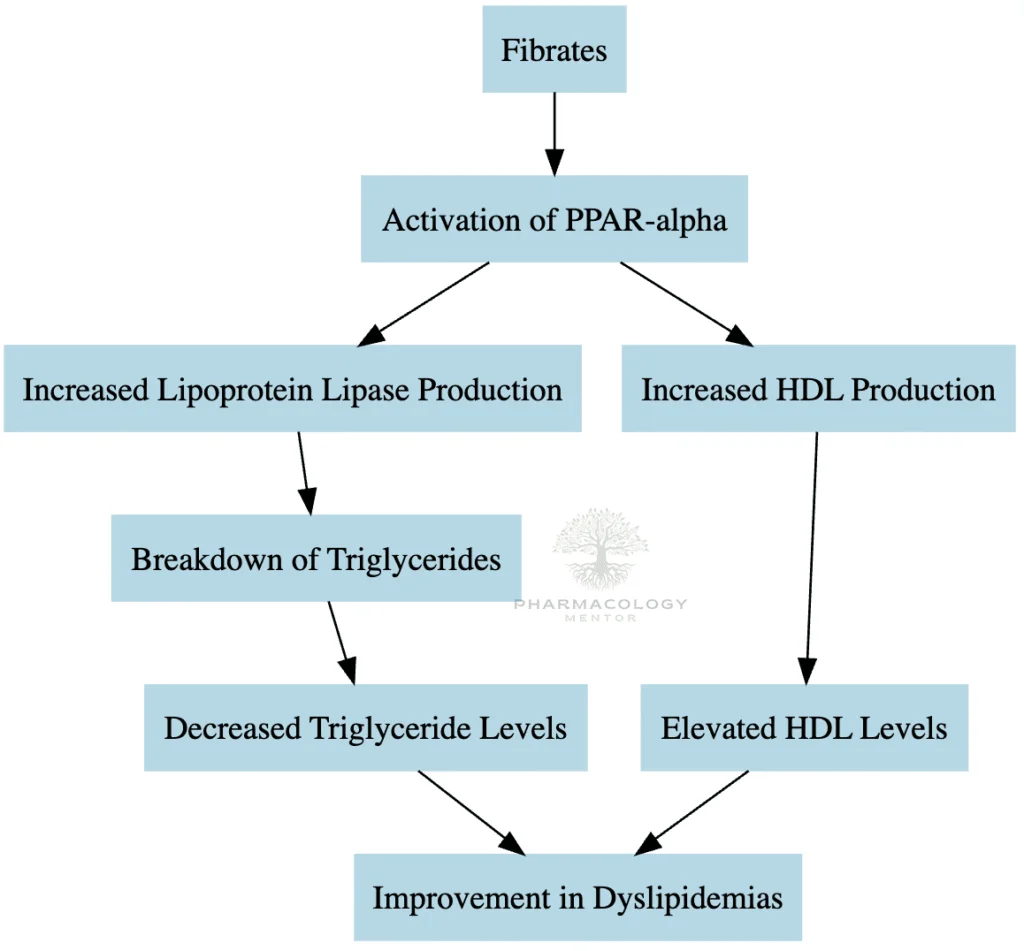 Fibrates MOA in Dyslipidemias