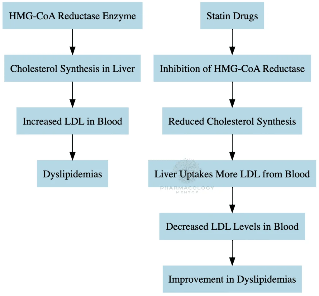 Statins MOA in Dyslipidemias