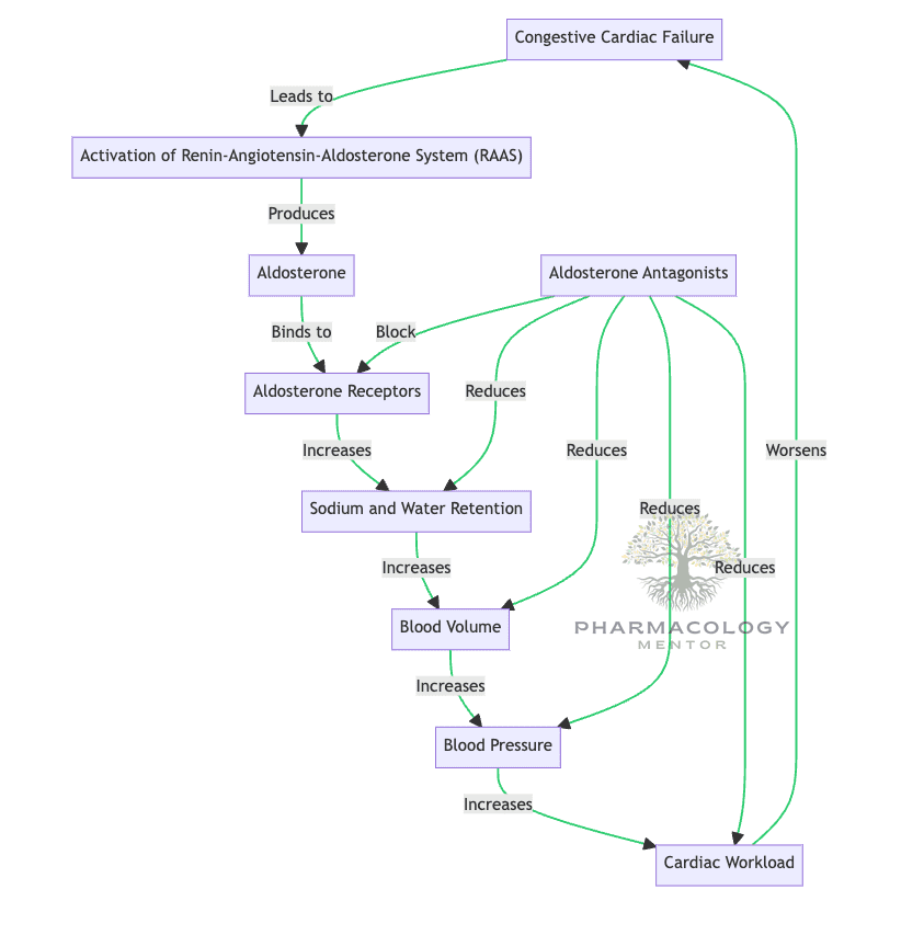 Congestive cardiac failure: Aldosterone antagonists