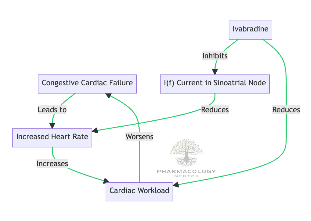 Congestive cardiac failure: Ivabradine
