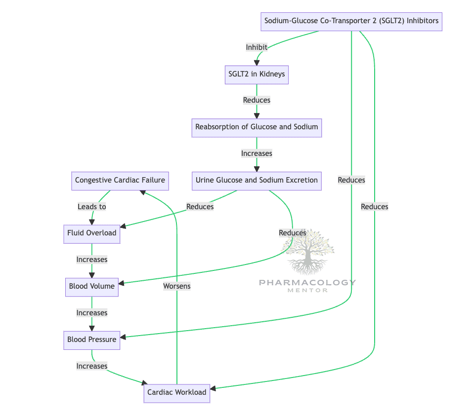 Congestive cardiac failure: SGLT2