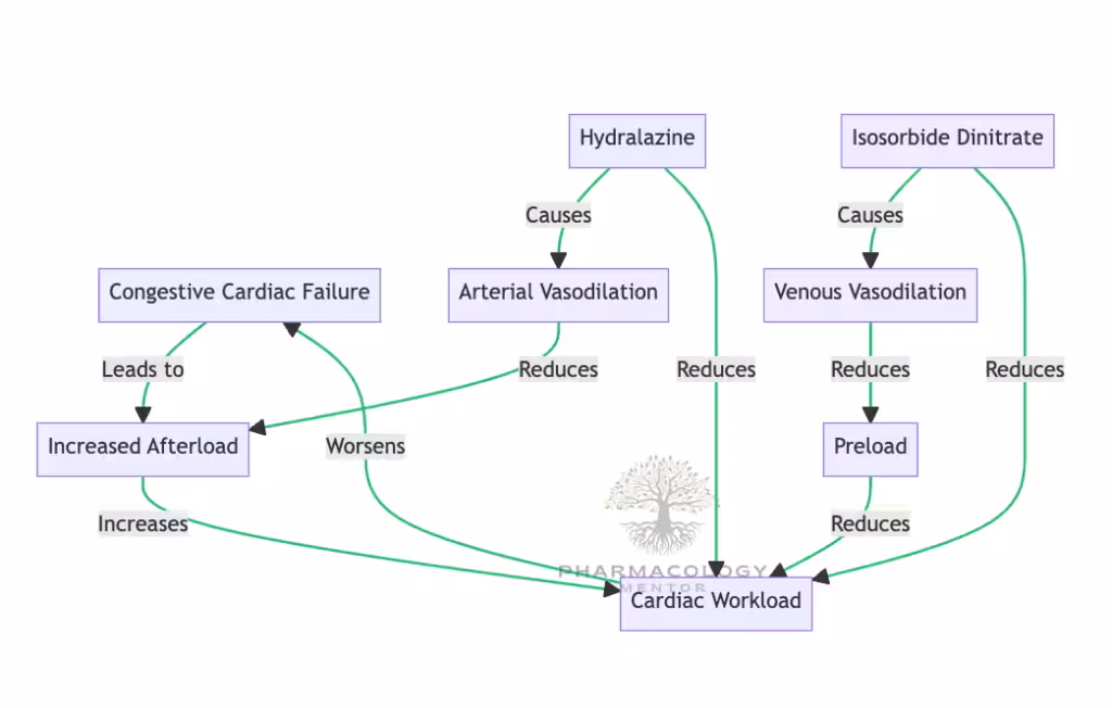 Hydralazine and Isosorbide Dinitrate