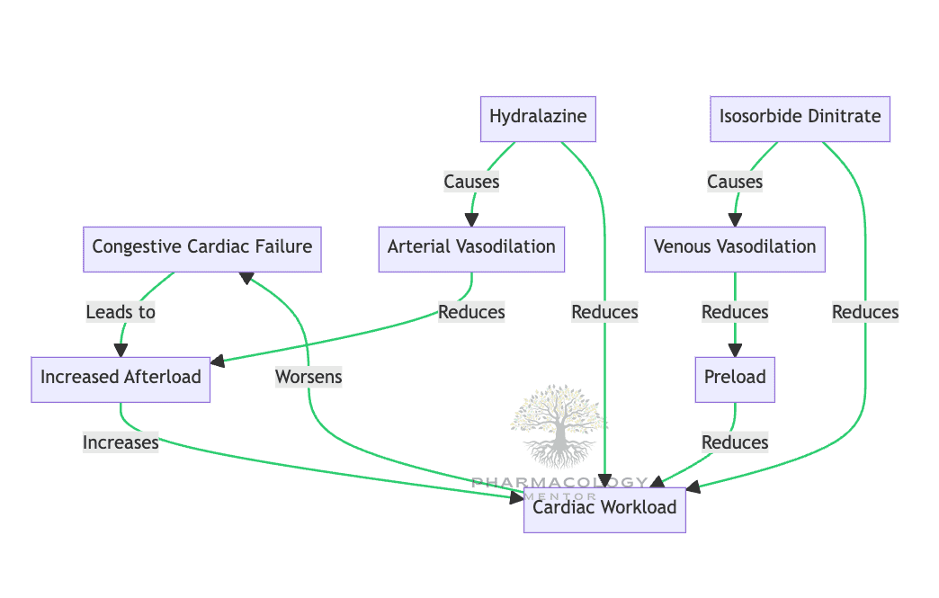 Congestive cardiac failure: Hydralazine and Isosorbide Dinitrate
