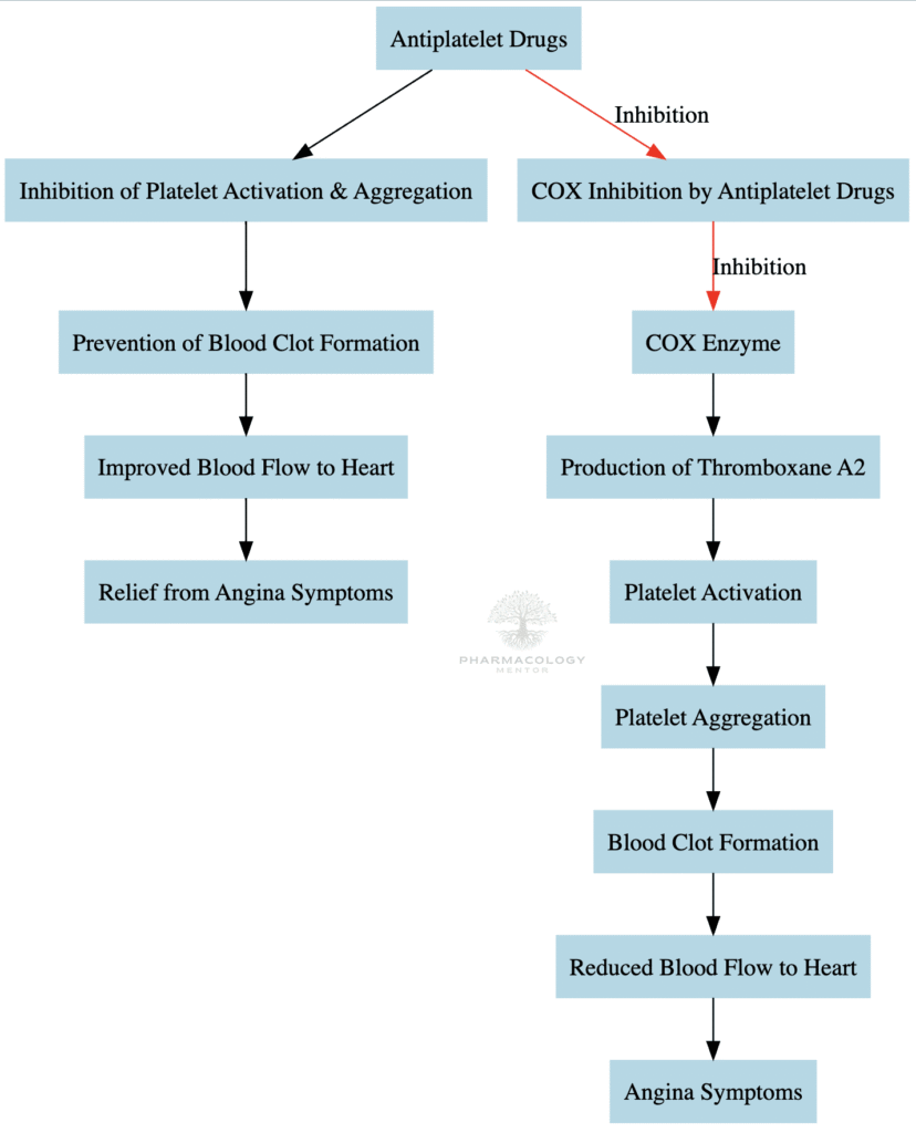 Antiplatelet drugs MOA in Angina