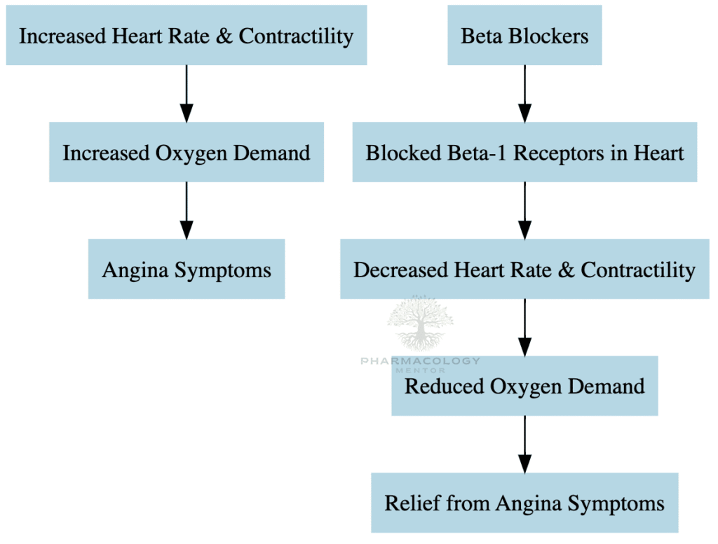 Beta blockers in Angina
