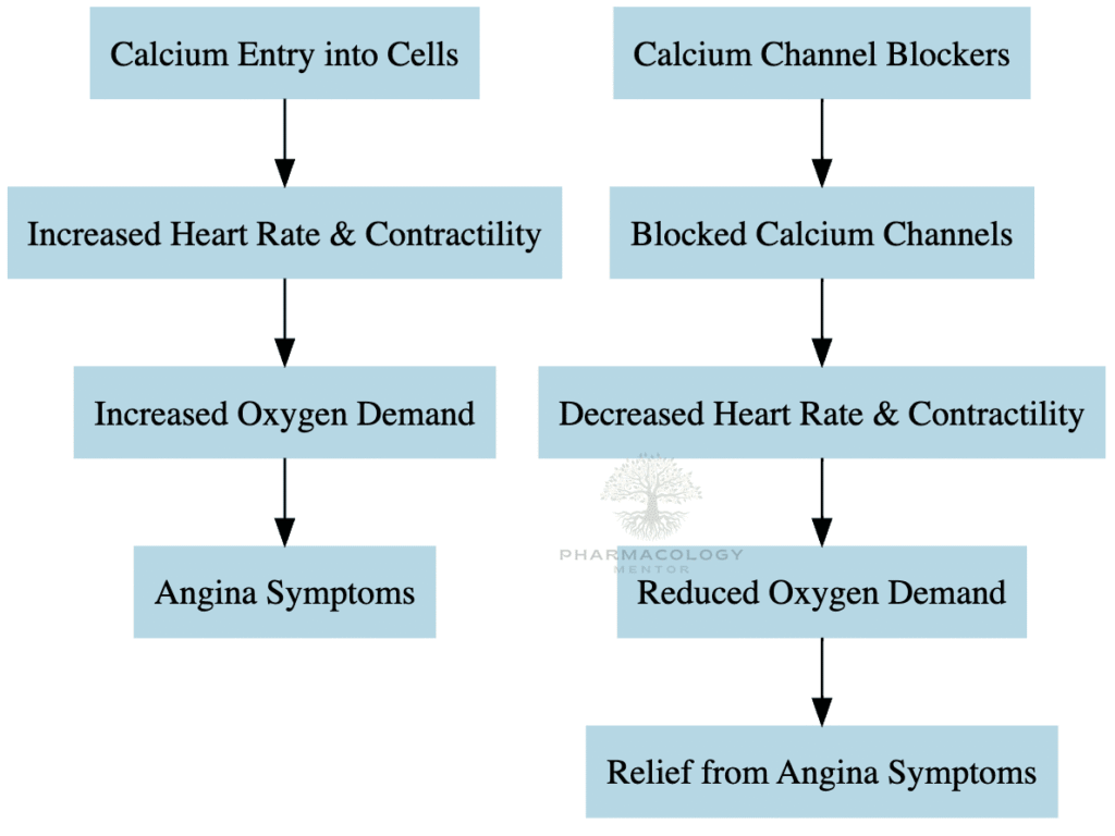 CCBs in Angina